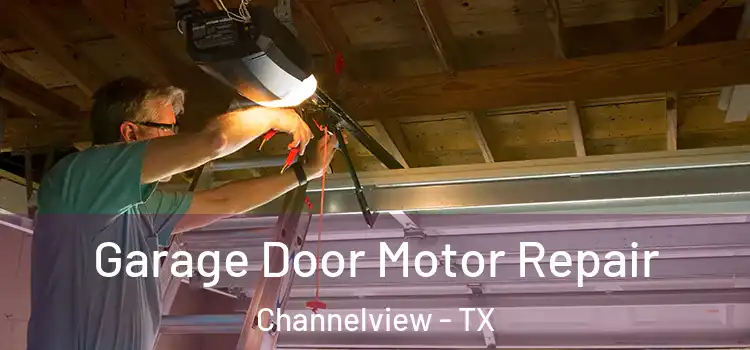  Garage Door Motor Repair Channelview - TX