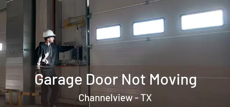  Garage Door Not Moving Channelview - TX