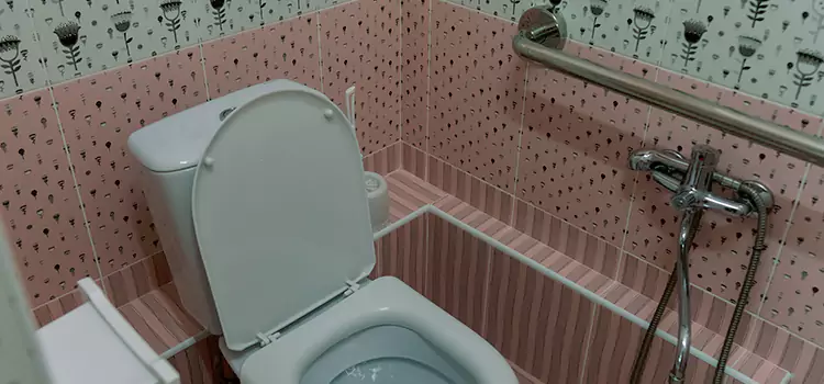 Meeting Diverse Needs With Accessible Restroom Solutions in Channelview, TX