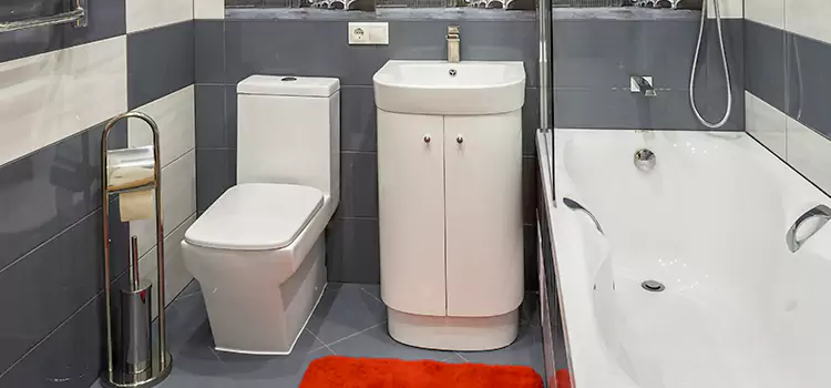 Hansgrohe Shaving Mirror Channelview